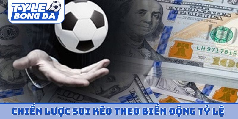 Chiến lược soi kèo theo biến động tỷ lệ cho người mới