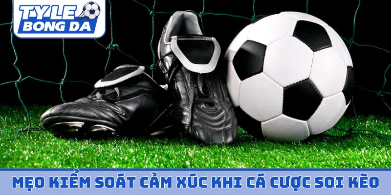 Mẹo kiểm soát cảm xúc khi cá cược để soi kèo