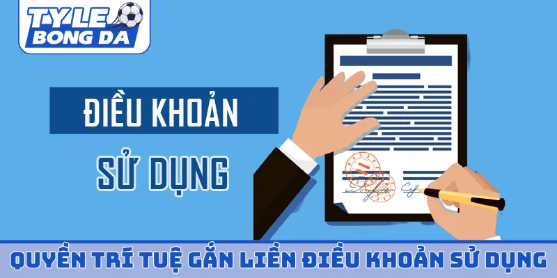 Quyền trí tuệ gắn liền điều khoản sử dụng